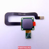 Сканер отпечатков пальцев для смартфона Asus Zenfone 3 ZC520TL 04110-00050400 ( ZC520TL FP MOD(ICE SILVER)/WW )