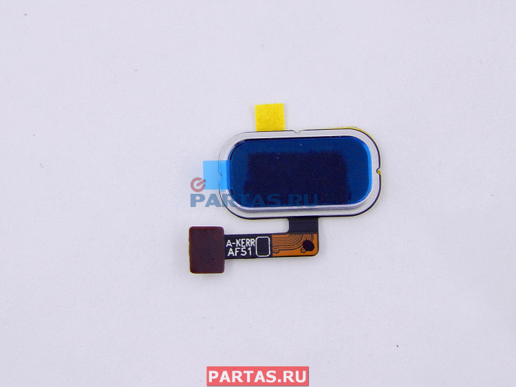 Elan fingerprint sensor. Отпечаток пальца модуль ASUS ze620kl. ASUS сенсор отпечаток пальца. Датчик отпечатка пальца dell m6400. S20 датчик отпечатка пальца